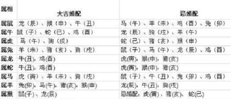 1997年1月生肖|97年属什么 97年属什么命